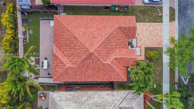 drone / aerial view