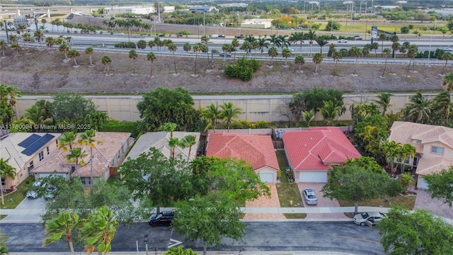 bird's eye view