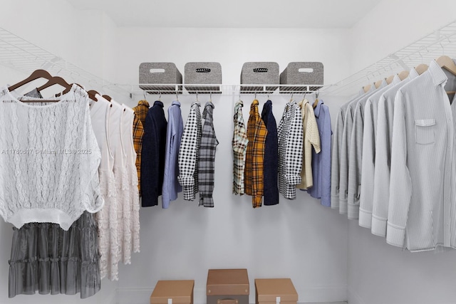 view of walk in closet