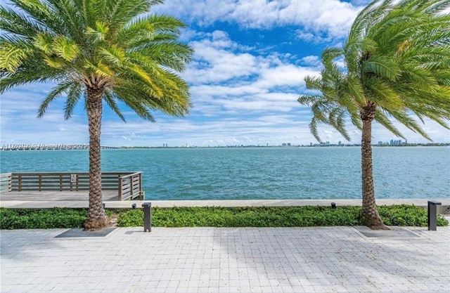 property view of water