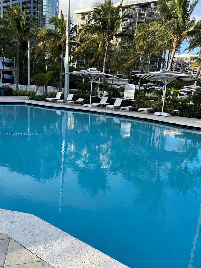 2101 Brickell Ave Unit 502, Miami, FL 33129 - view of community pool