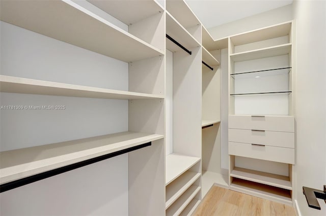 2851 W Trade Ave, Miami, FL 33133 - spacious closet featuring light wood-type flooring