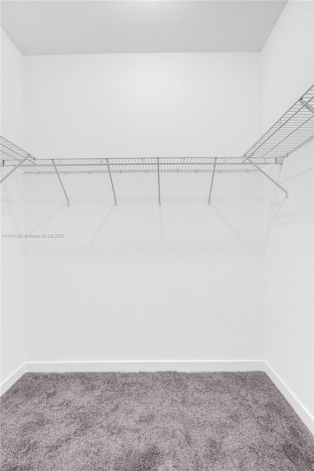 walk in closet featuring light carpet