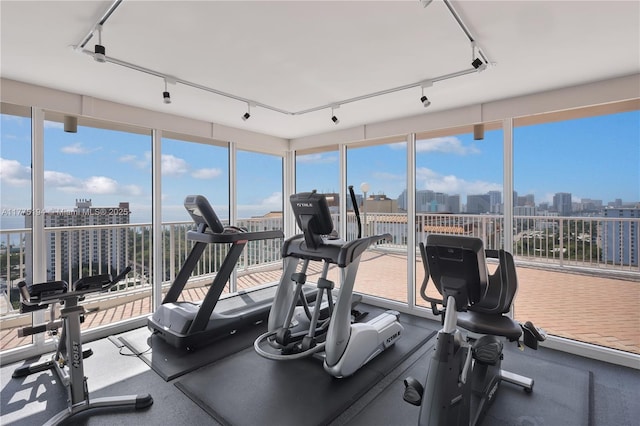 workout area featuring rail lighting, a healthy amount of sunlight, and a city view