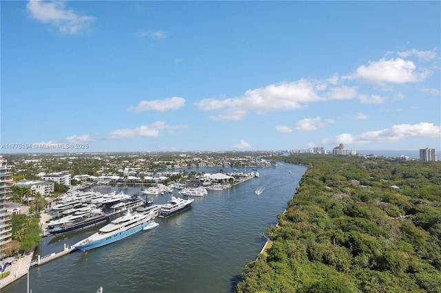 bird's eye view with a water view and a view of city
