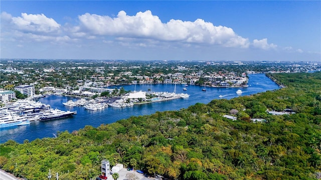 bird's eye view with a water view