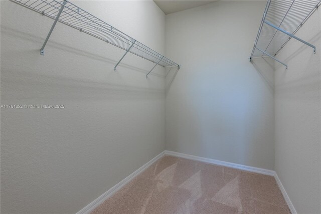 4974 Greenway Dr, Hollywood, FL 33021 - photo 25