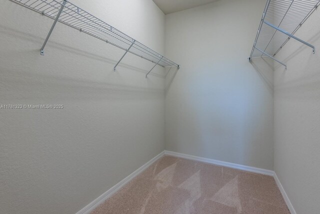 4974 Greenway Dr, Hollywood, FL 33021 - photo 42