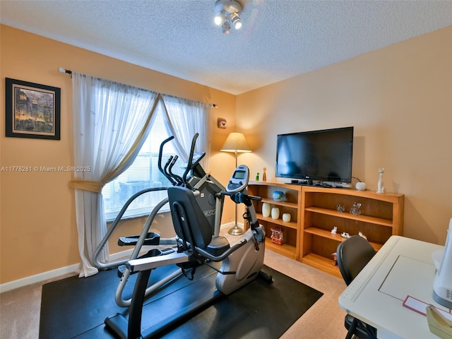 exercise room with a textured ceiling, baseboards, and carpet floors