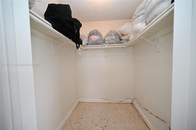 view of walk in closet