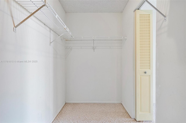 600 Parkview Dr Unit 625, Hallandale Beach, FL 33009 - spacious closet with carpet