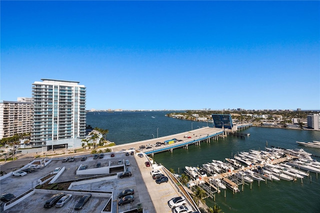 aerial view with a water view and a city view