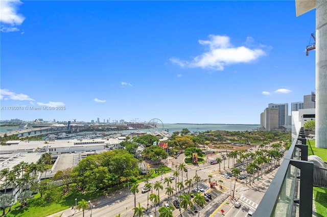 398 NE 5th St Unit 2119, Miami, FL 33132 - water view with a view of city
