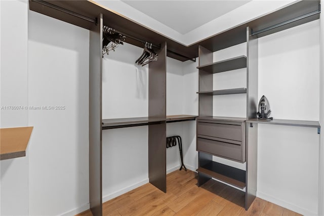398 NE 5th St Unit 2119, Miami, FL 33132 - walk in closet featuring light wood-style floors