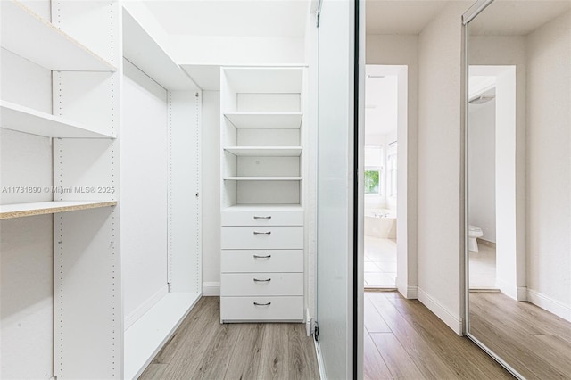 4981 SW 173rd Ave, Miramar, FL 33029 - spacious closet with light wood-style floors