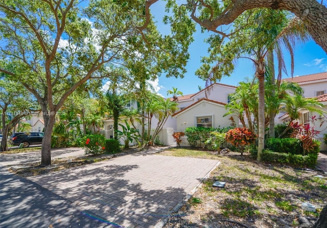 1551 Seagrape Way, Hollywood, FL 33019 - exterior space