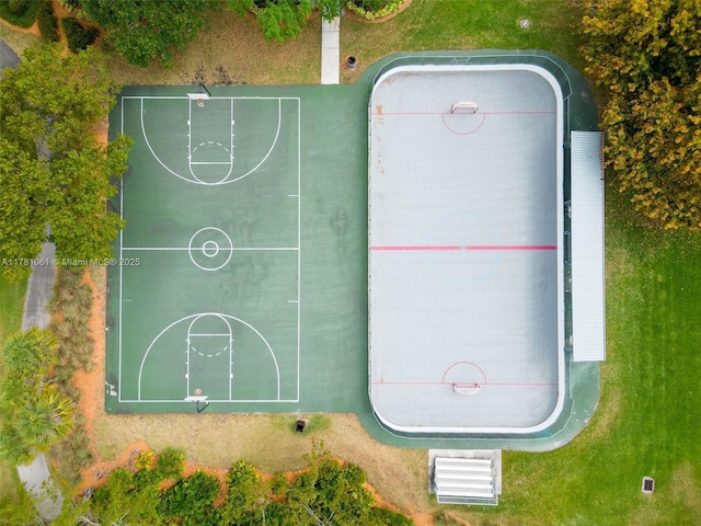 bird's eye view