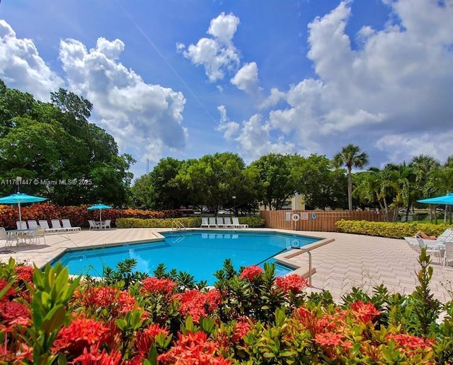 330 Olivewood Pl Unit 217, Boca Raton, FL 33431 - community pool featuring a patio area and view of scattered trees