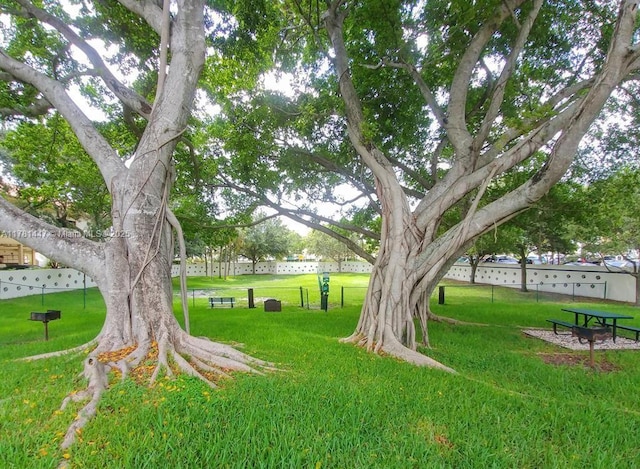330 Olivewood Pl Unit 217, Boca Raton, FL 33431 - view of yard