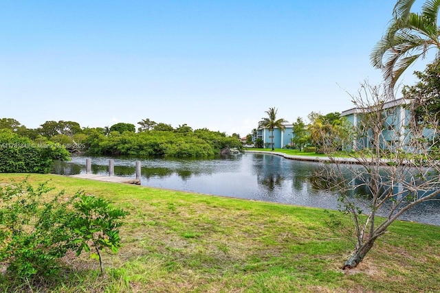 509 NE 29th St, Wilton Manors, FL 33334 - water view