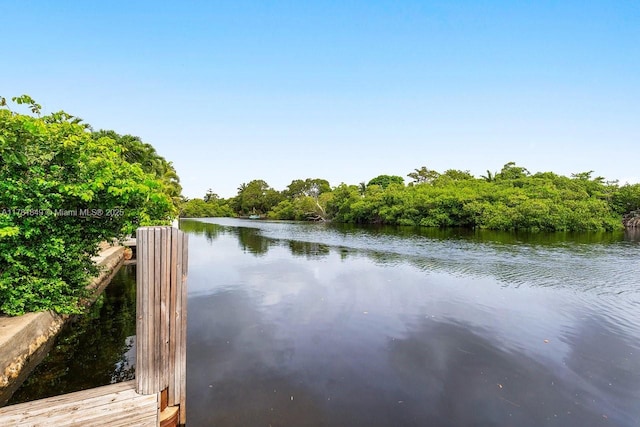 509 NE 29th St, Wilton Manors, FL 33334 - water view