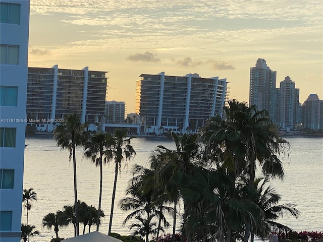 property's view of city featuring a water view