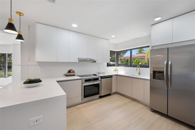 kitchen featuring under cabinet range hood, stainless steel appliances, a sink, and modern cabinets