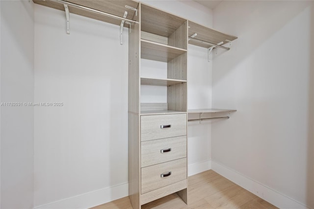 walk in closet with light wood-type flooring