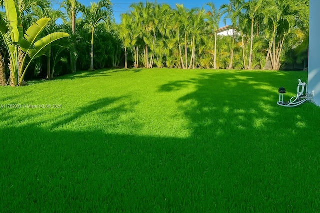 185 NE 106th St, Miami Shores, FL 33138 - view of grassy yard