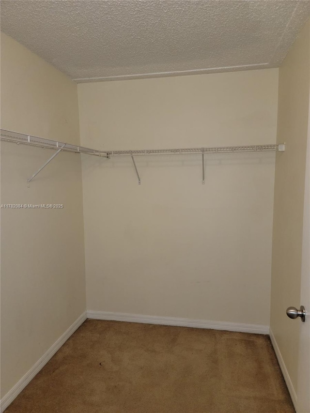 walk in closet featuring carpet