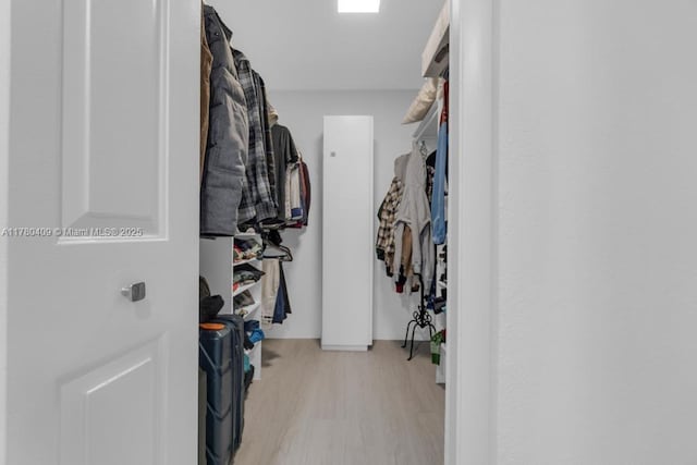 spacious closet featuring light wood finished floors