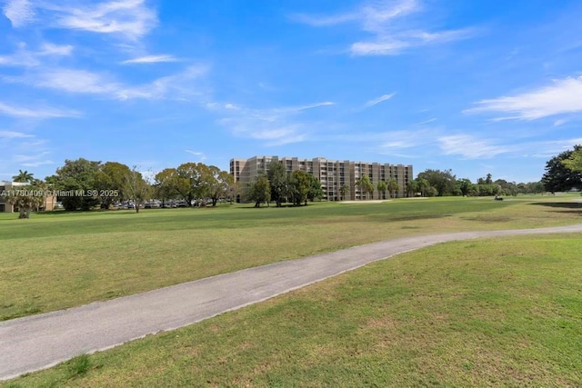 view of community with a yard