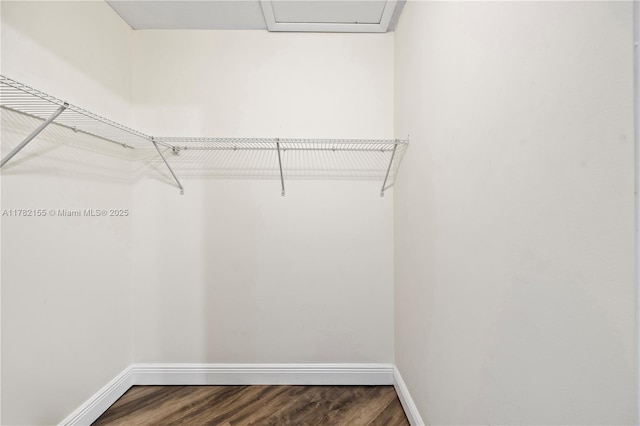 9239 W Sunrise Blvd, Plantation, FL 33322 - walk in closet featuring dark wood-style flooring and attic access