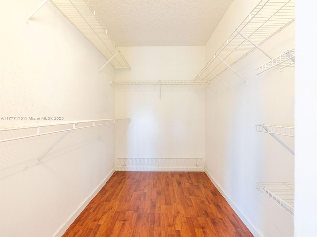 spacious closet featuring wood finished floors