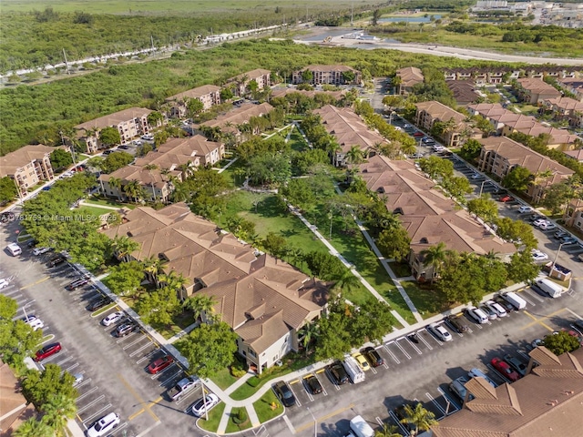 bird's eye view