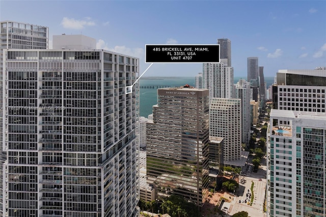 485 Brickell Ave Unit 4707, Miami, FL 33131 - property's view of city with a water view