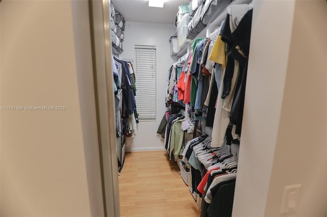 266 Iris Dr, Jupiter, FL 33458 - spacious closet with light wood finished floors