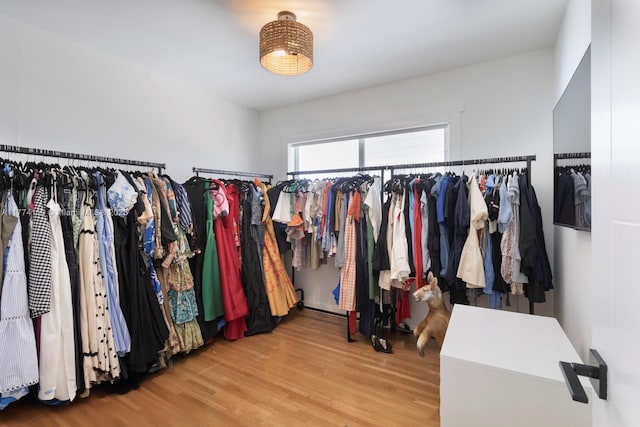 spacious closet featuring wood finished floors