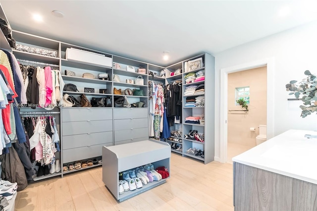 walk in closet featuring light wood-type flooring
