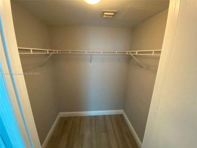 spacious closet featuring wood finished floors