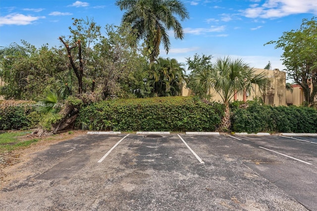 314 NE 142nd St Unit 16C, Miami, FL 33161 - photo 17