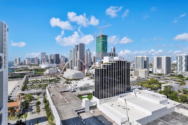 1750 N Bayshore Dr Unit 3106, Miami, FL 33132 - view of city skyline