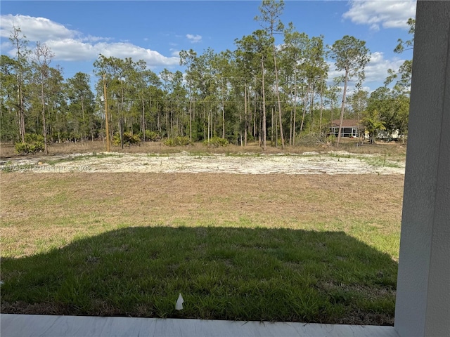 1316 Broadway Ave, Lehigh Acres, FL 33972 - view of yard