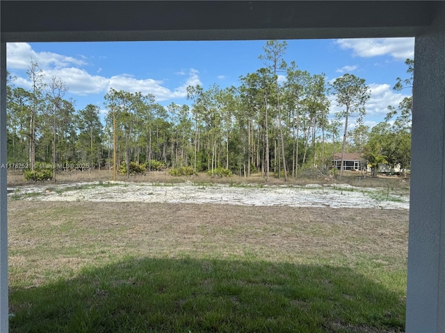 1316 Broadway Ave, Lehigh Acres, FL 33972 - view of yard