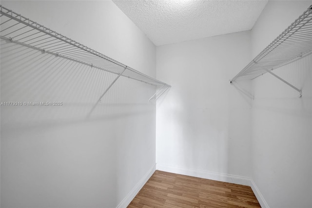 609 NE 13th Ave Unit 301, Fort Lauderdale, FL 33304 - walk in closet with wood finished floors