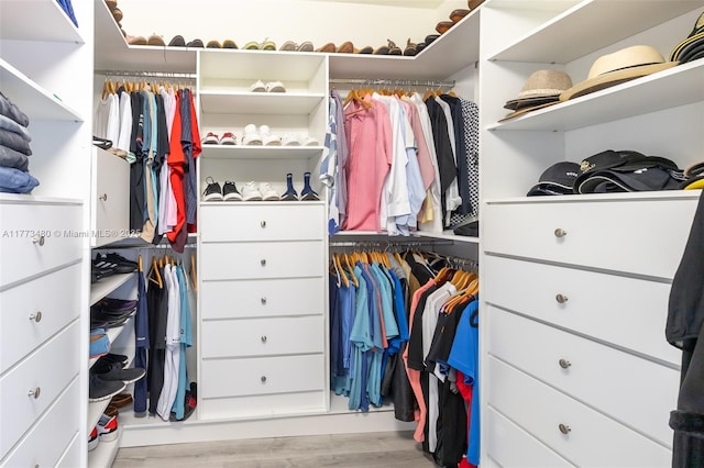 10572 W 35th Way, Hialeah, FL 33018 - spacious closet with wood finished floors