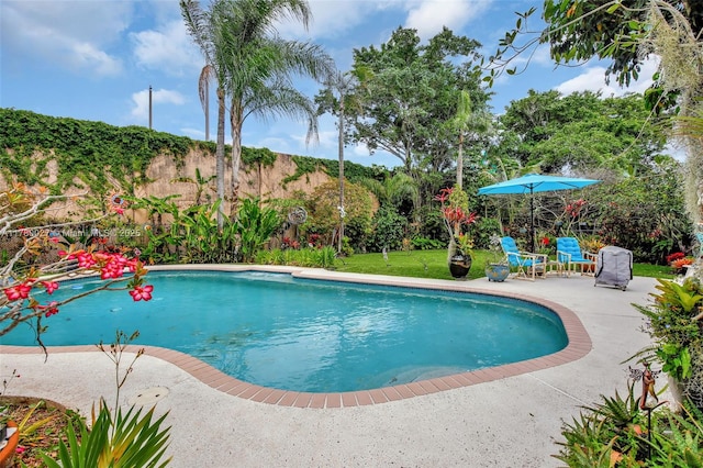 1780 SW 51st Ter, Plantation, FL 33317 - photo 50