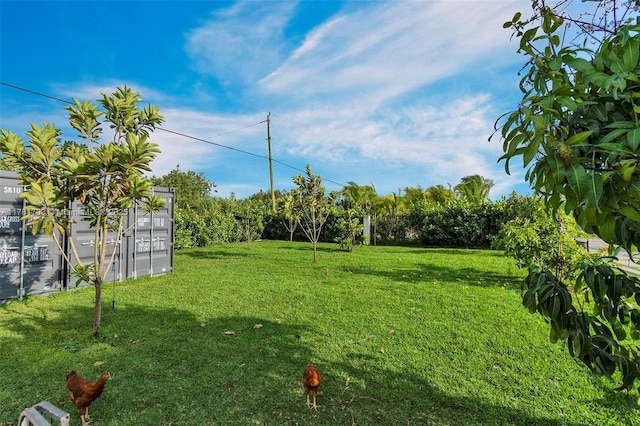 view of yard
