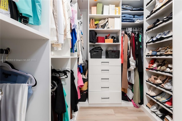 spacious closet featuring wood finished floors