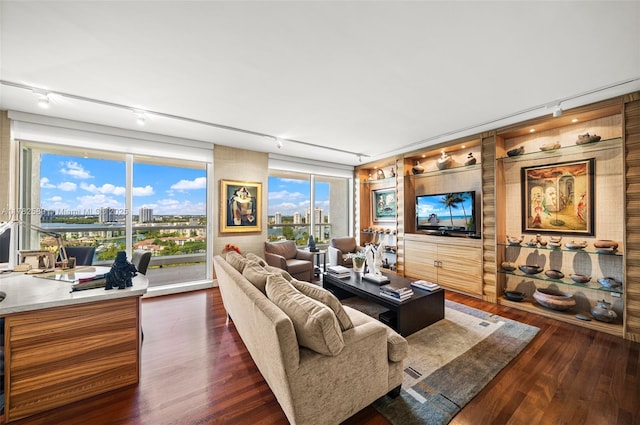 living area featuring rail lighting, a city view, and dark wood-style floors